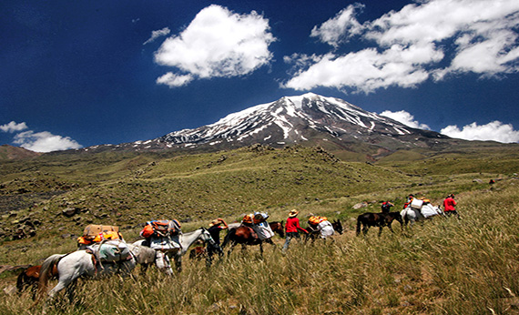 Mount Ararat About US