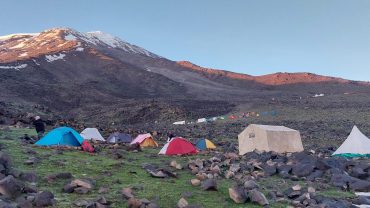 big small ararat