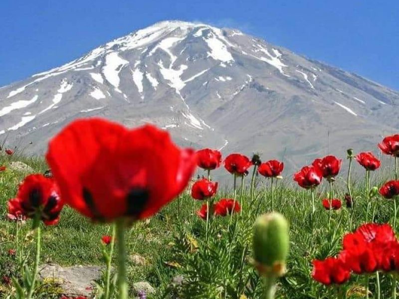 Mount Ararat Trekking Tours