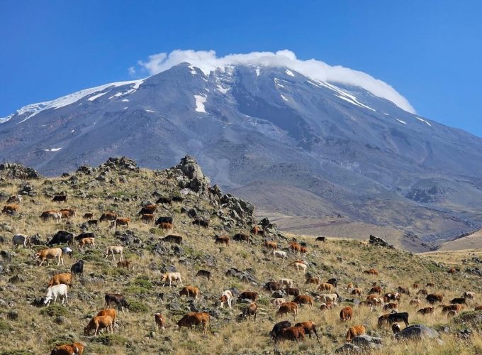 Mount Ararat Trekking Tours