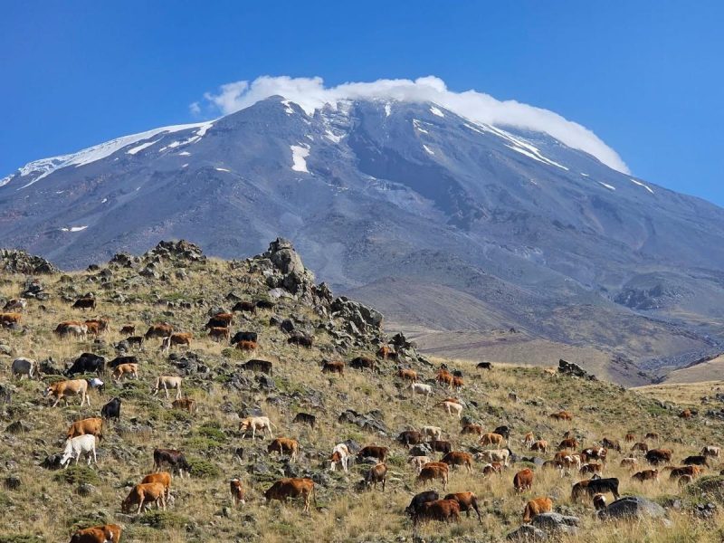 Mount Ararat Trekking Tours